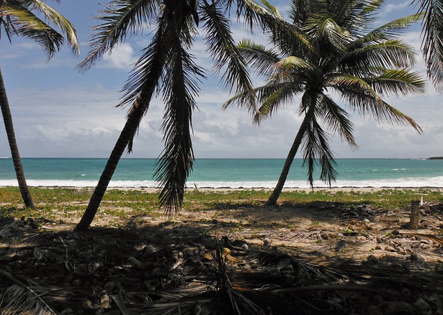 You are currently viewing Quel est le plus bel endroit de la Martinique ?